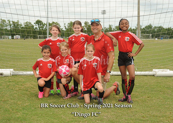 Dingo FC - with litho