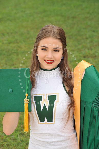 WD15