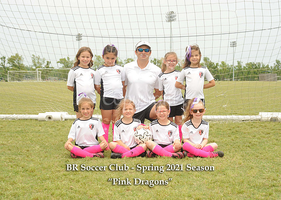 Pink Dragons - with litho