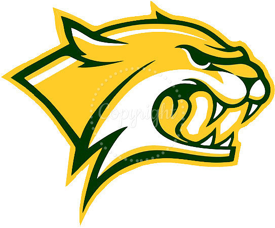 WHS Wildcat logo