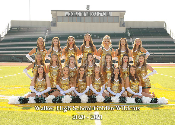 Dance Team - 5x7 with litho