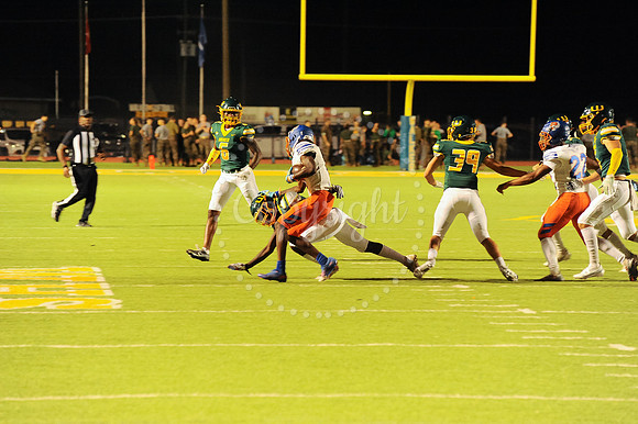 WHS Hoco Game (276)