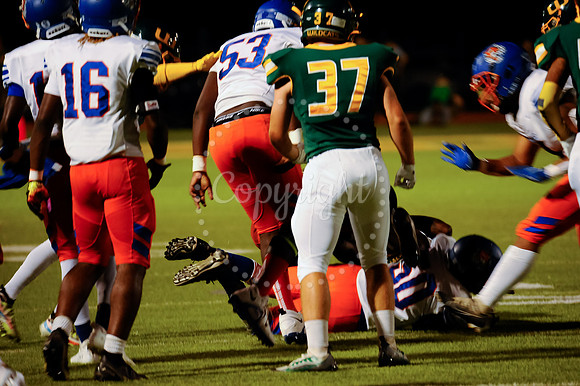 WHS Hoco Game (91)