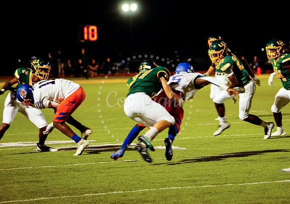WHS Hoco Game (85)