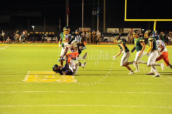 WHS Hoco Game (278)