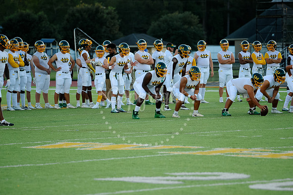 WHS Hoco Game (2)