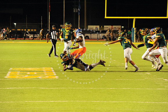 WHS Hoco Game (277)