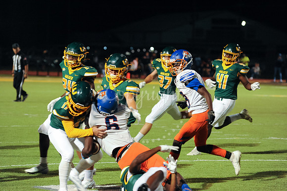 WHS Hoco Game (354)