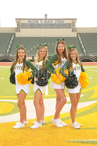 Seniors