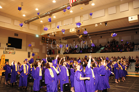 DGC (80)