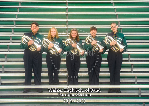 Baritone Section 5x7 with logo