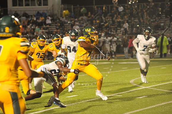 WHS vs Ponchatoula 9-6-24 (74)