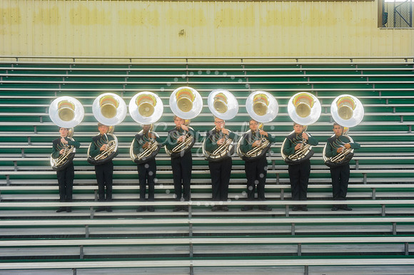 Tuba Section