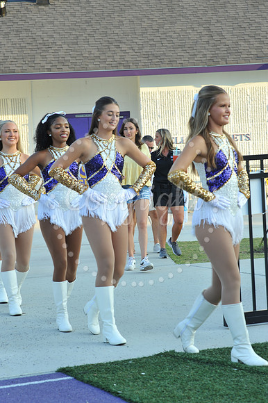 DSHS vs Mandeville (4)