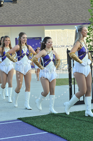 DSHS vs Mandeville (3)