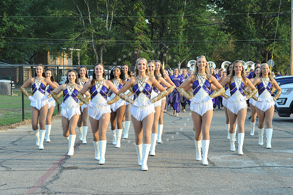 DSHS vs Mandeville (1)