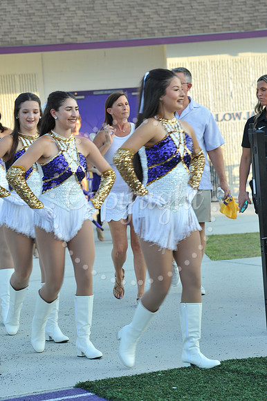 DSHS vs Mandeville (6)