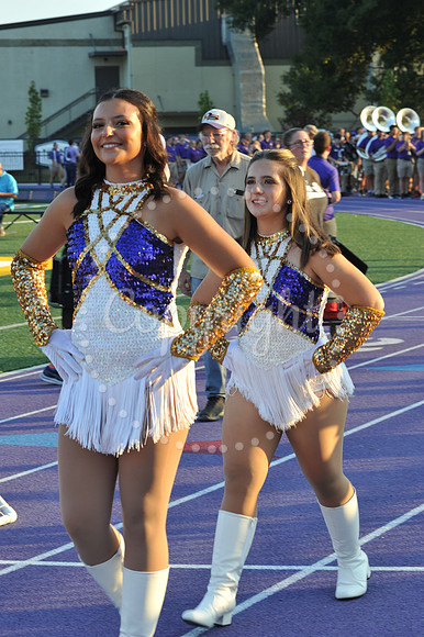 DSHS vs Mandeville (12)