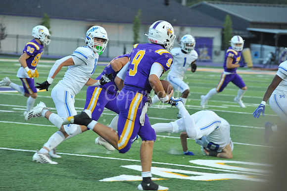 DSHS vs Mandeville (82)
