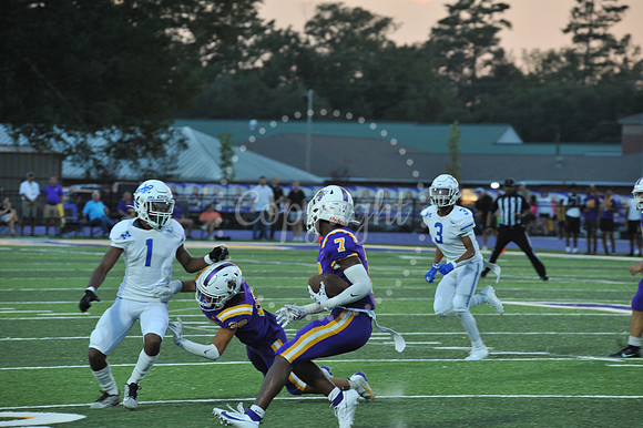 DSHS vs Mandeville (89)
