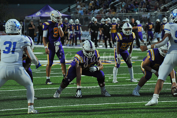 DSHS vs Mandeville (93)