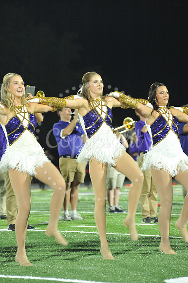 DSHS vs Mandeville (135)