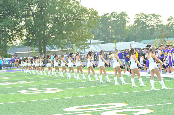 DSHS vs Mandeville (210)