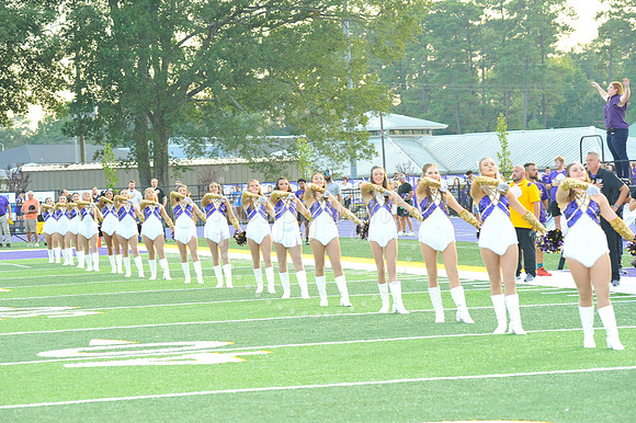 DSHS vs Mandeville (212)