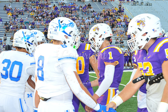 DSHS vs Mandeville (229)