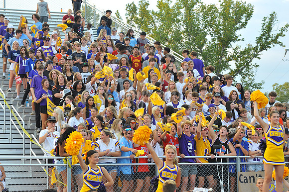 DSHS vs Mandeville (232)