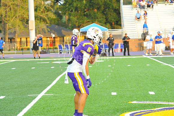 DSHS vs Mandeville (233)