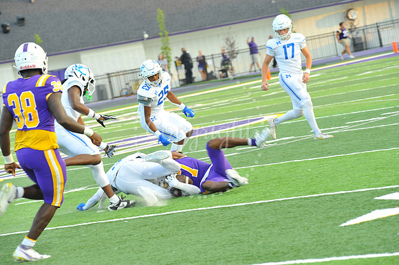 DSHS vs Mandeville (240)
