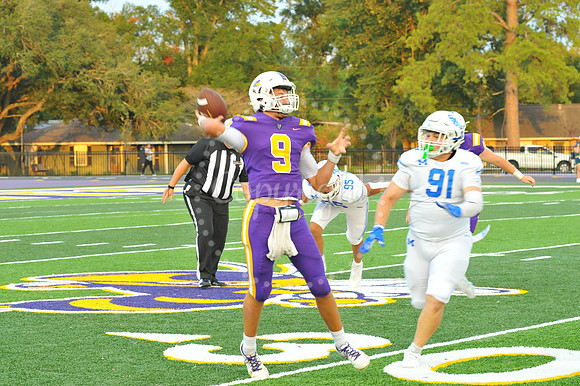 DSHS vs Mandeville (243)