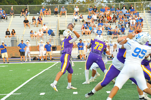 DSHS vs Mandeville (245)
