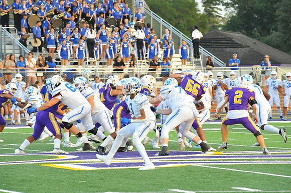 DSHS vs Mandeville (246)