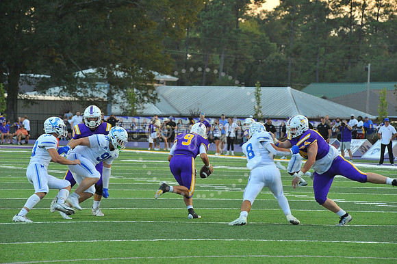 DSHS vs Mandeville (263)