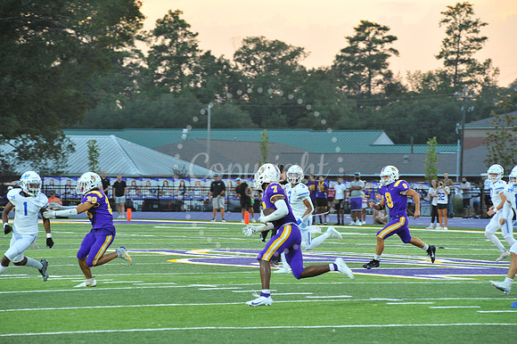 DSHS vs Mandeville (278)