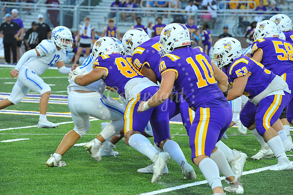 DSHS vs Mandeville (280)