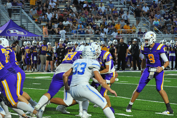 DSHS vs Mandeville (294)