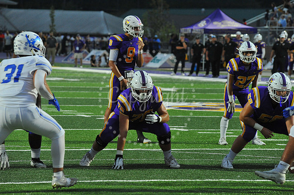 DSHS vs Mandeville (295)