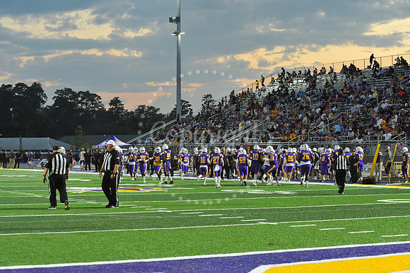 DSHS vs Mandeville (299)