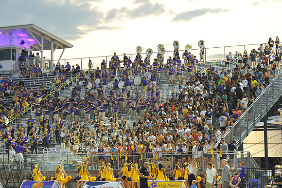 DSHS vs Mandeville (300)