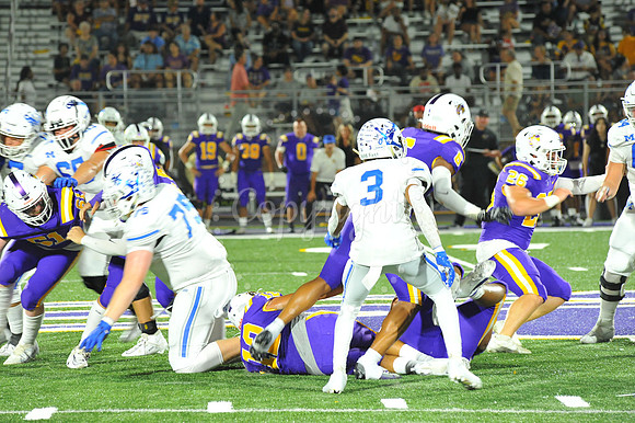 DSHS vs Mandeville (305)
