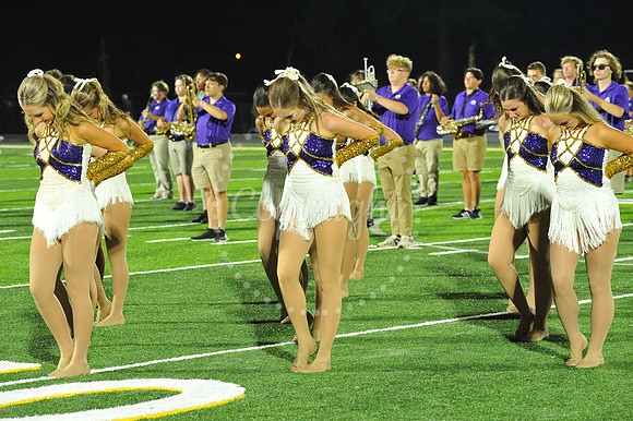 DSHS vs Mandeville (320)