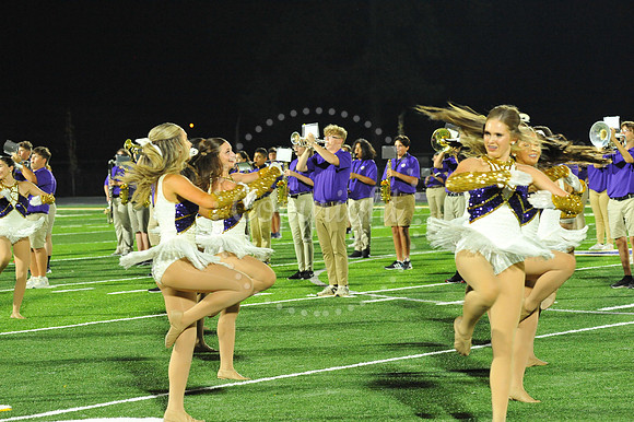 DSHS vs Mandeville (323)