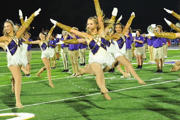 DSHS vs Mandeville (324)