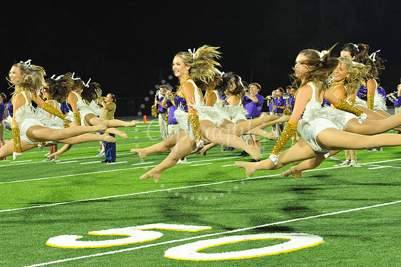 DSHS vs Mandeville (327)