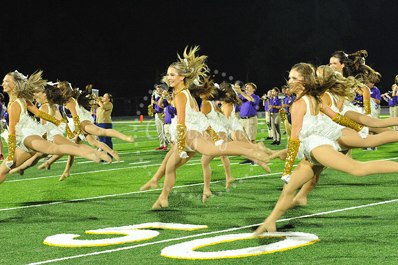 DSHS vs Mandeville (328)