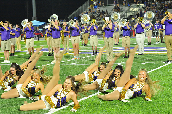 DSHS vs Mandeville (329)