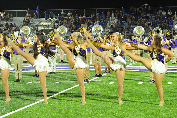 DSHS vs Mandeville (330)